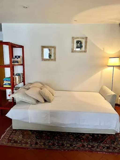 Spacious Apartment Near Arno River Φλωρεντία